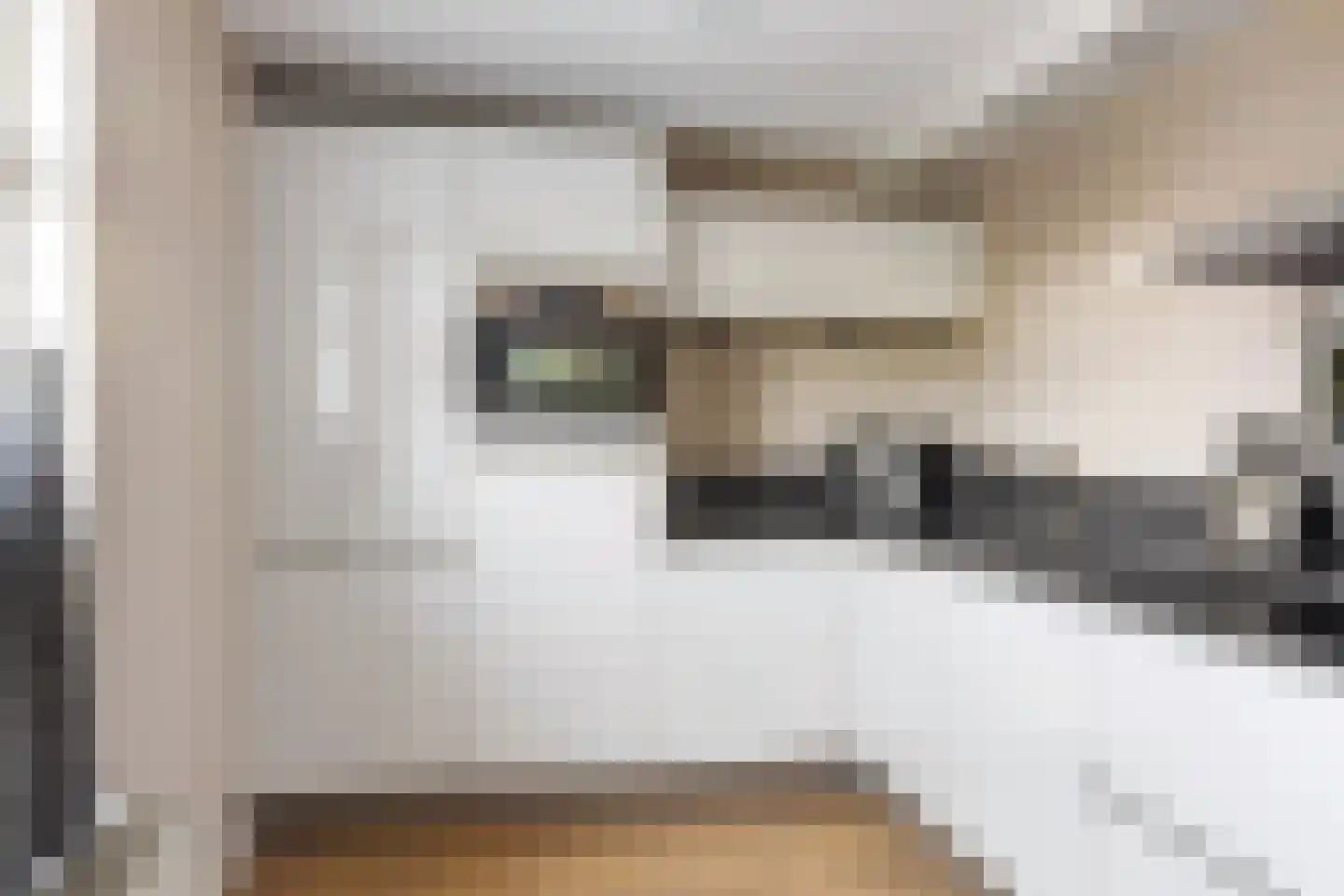 Westereems 32 Sneek thumbnail 15