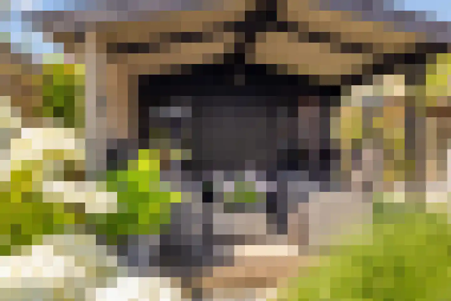 Westereems 32 Sneek thumbnail 24