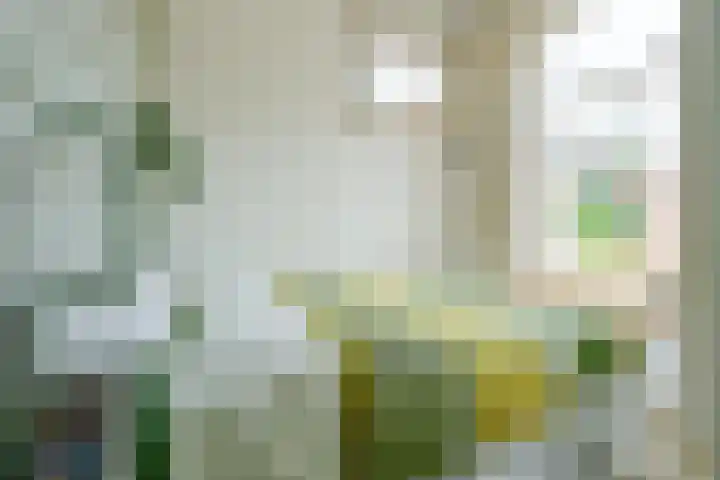 Westereiland 1 Medemblik thumbnail 30