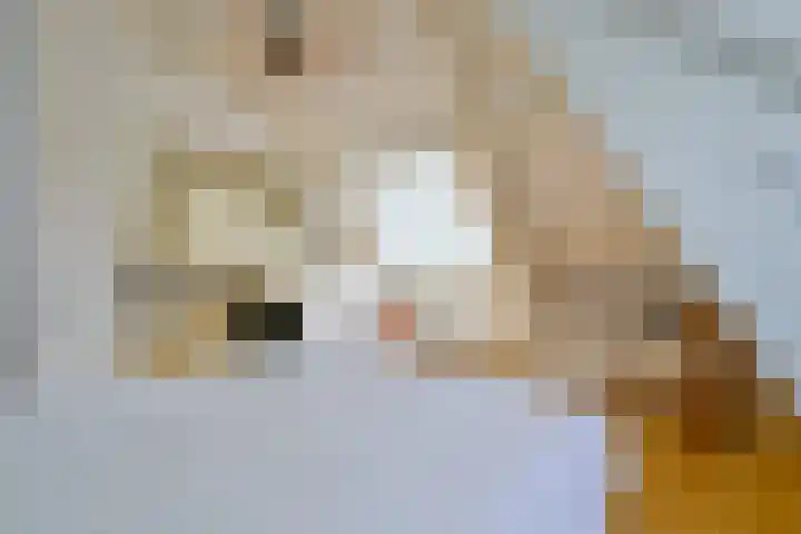 Westereiland 1 Medemblik thumbnail 34