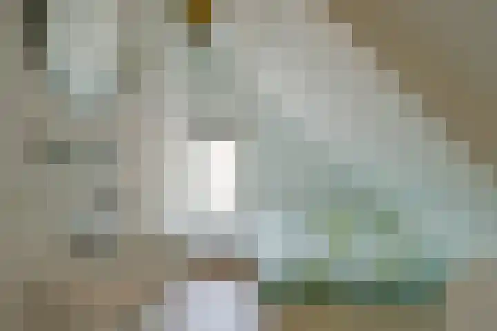 Westereiland 1 Medemblik thumbnail 39