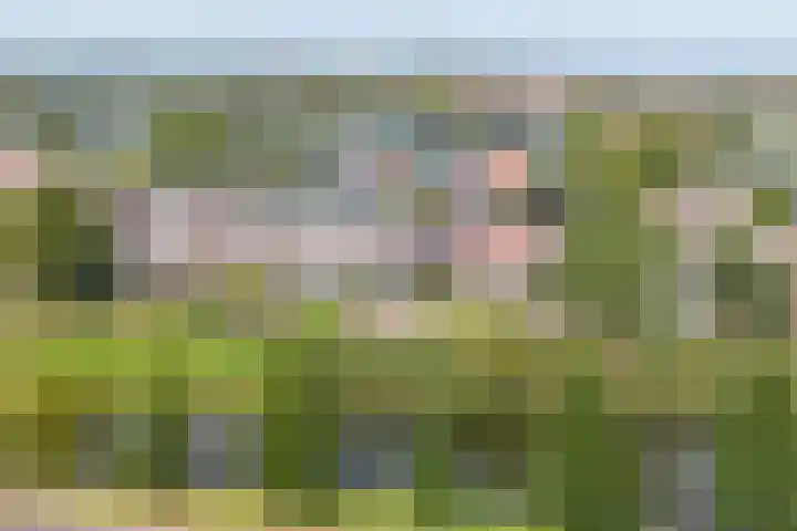 Westereiland 1 Medemblik thumbnail 4