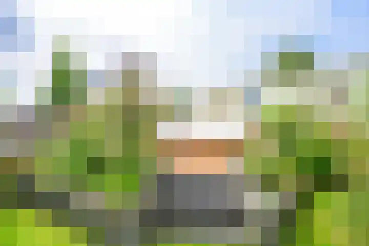 Westereiland 1 Medemblik thumbnail 47