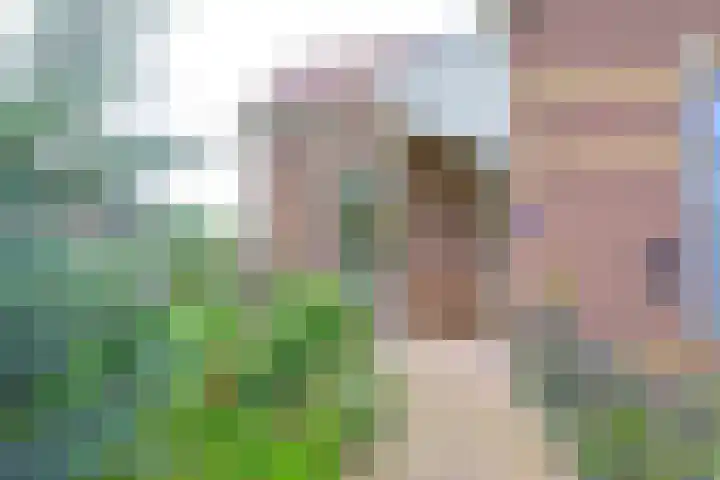 Westereiland 1 Medemblik thumbnail 53