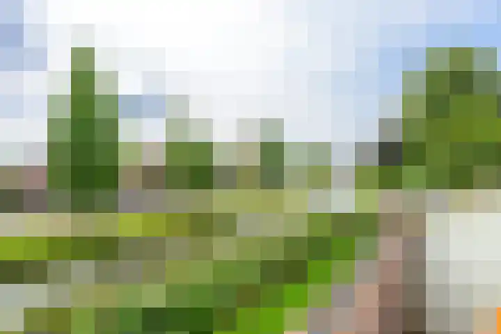 Westereiland 1 Medemblik thumbnail 6
