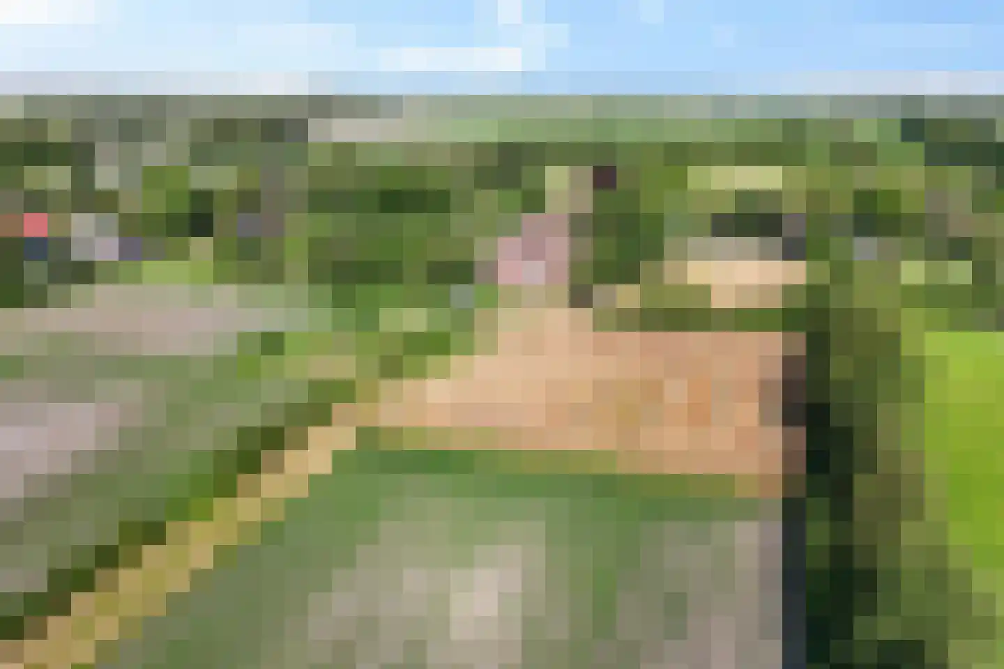 Westerein 25 Garyp thumbnail 6