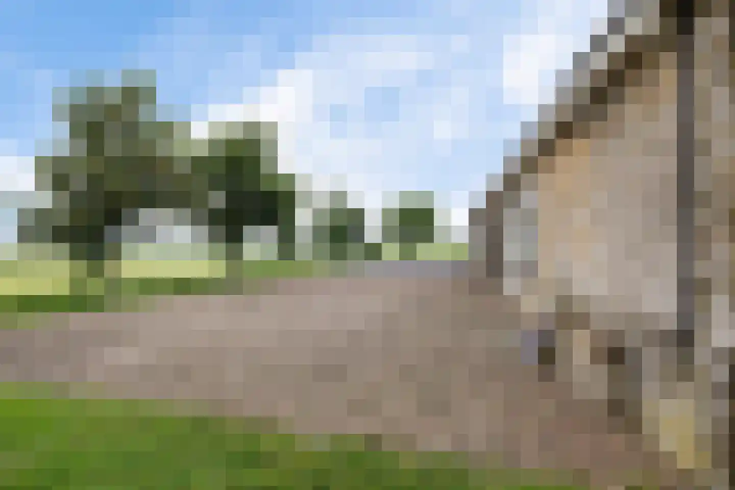 Westerein 6 Tersoal thumbnail 57