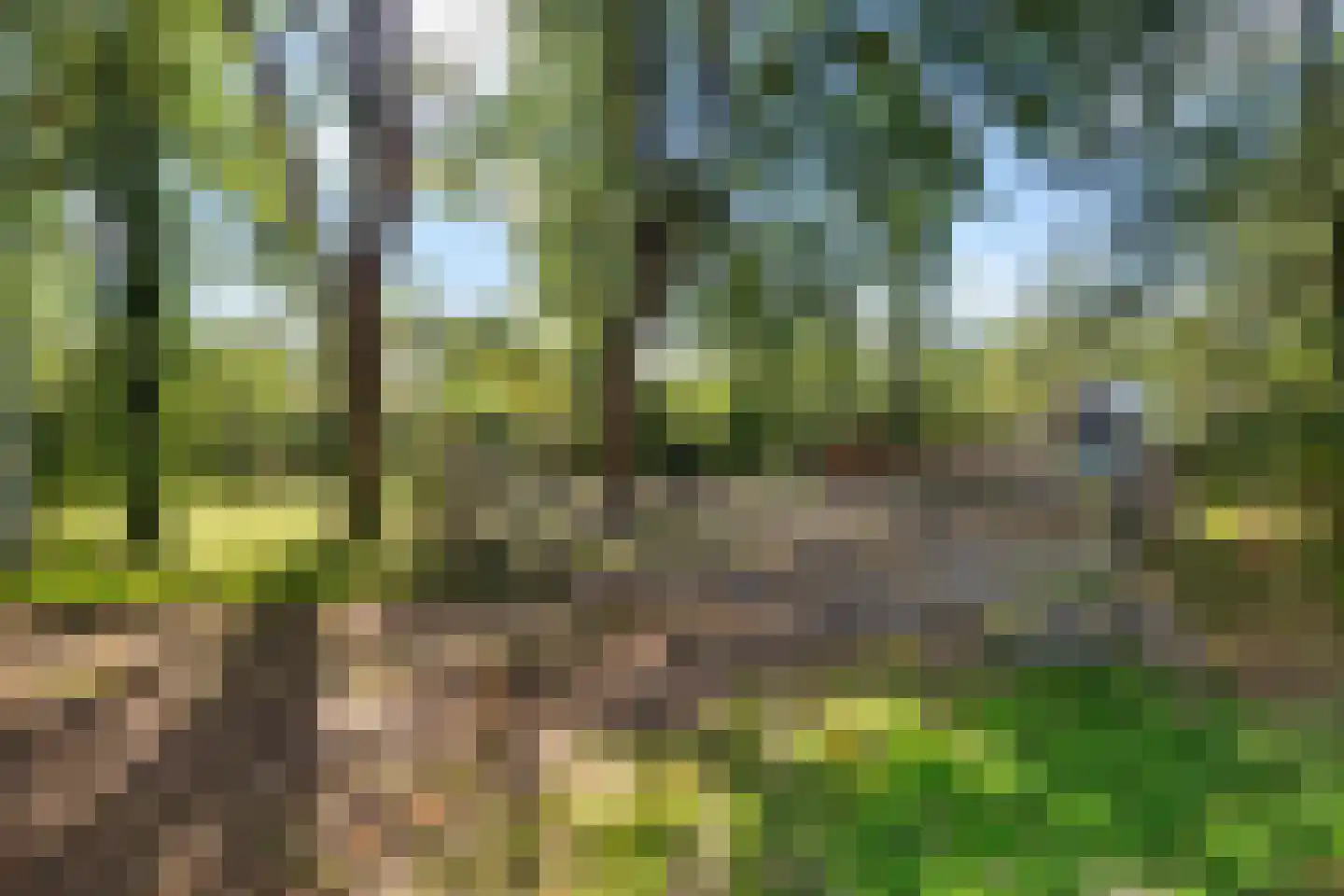 Westereind 3 Wachtum thumbnail 10