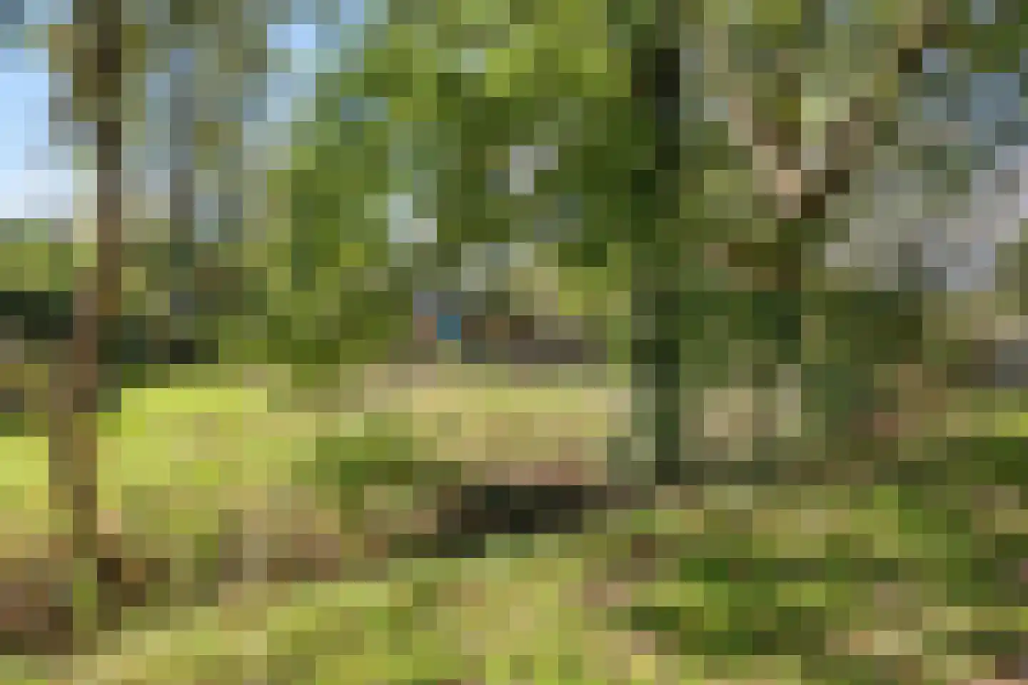 Westereind 3 Wachtum thumbnail 11