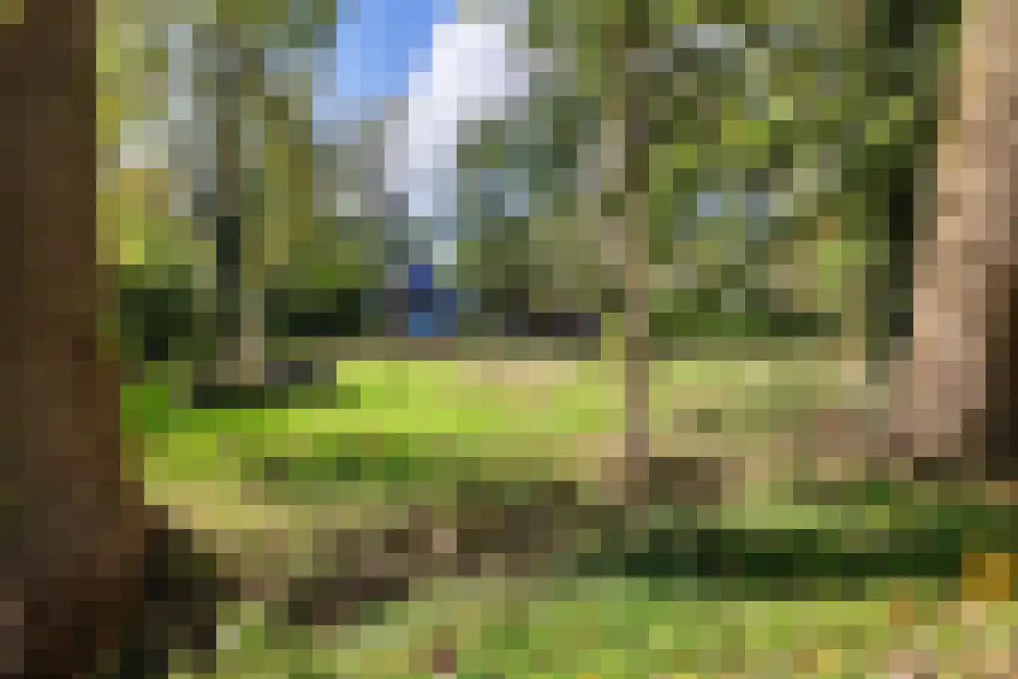 Westereind 3 Wachtum thumbnail 12