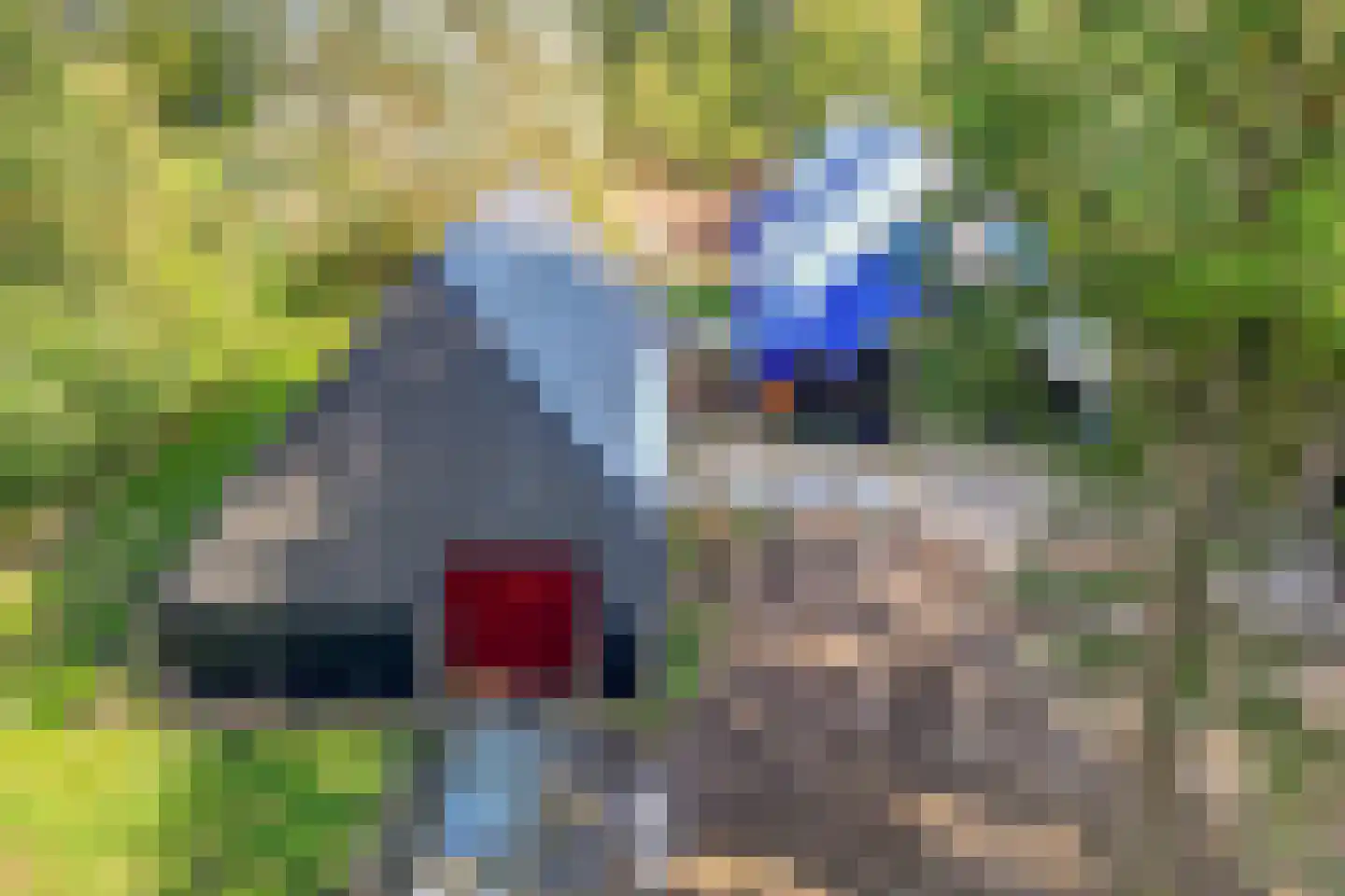 Westereind 3 Wachtum thumbnail 15