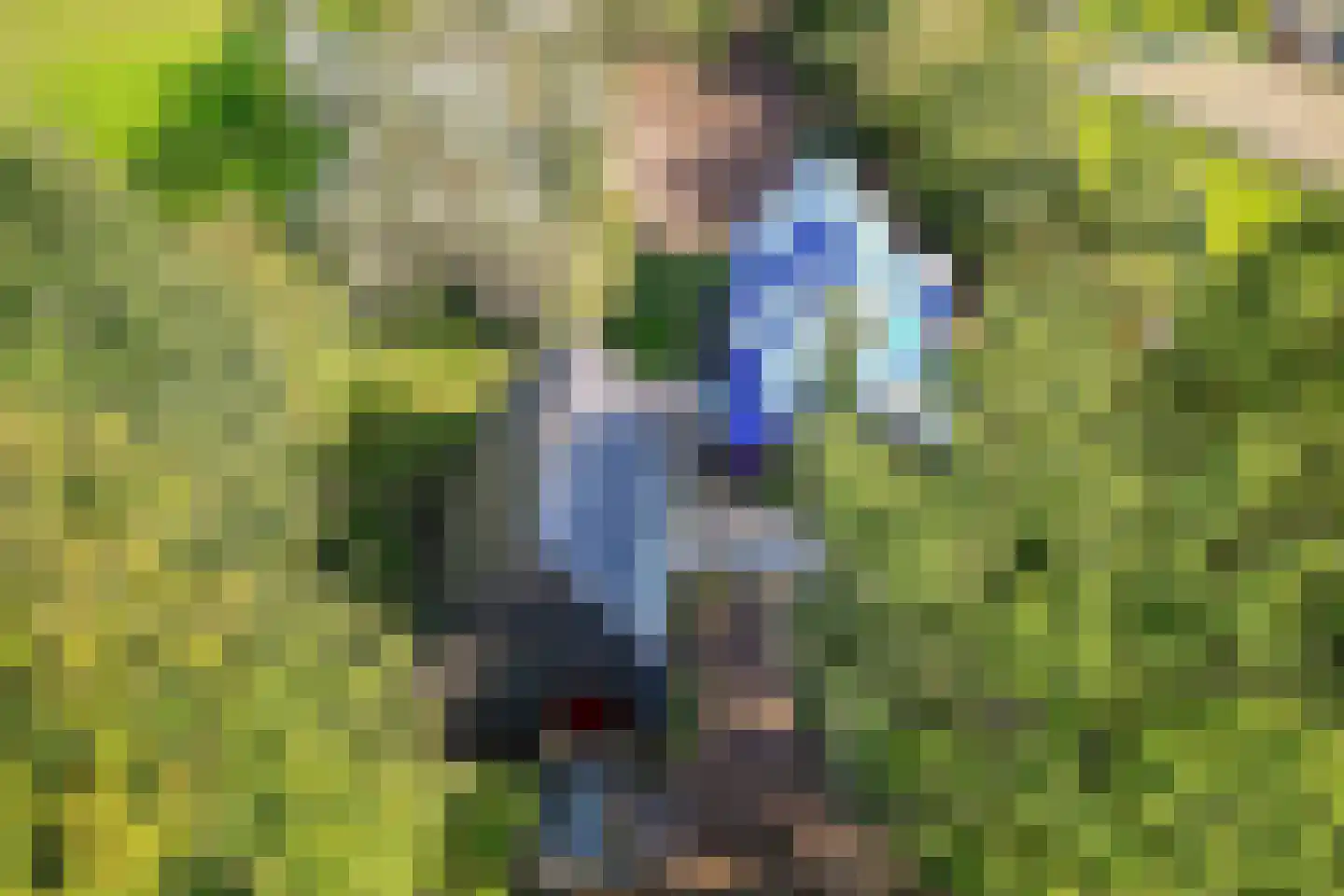Westereind 3 Wachtum thumbnail 16