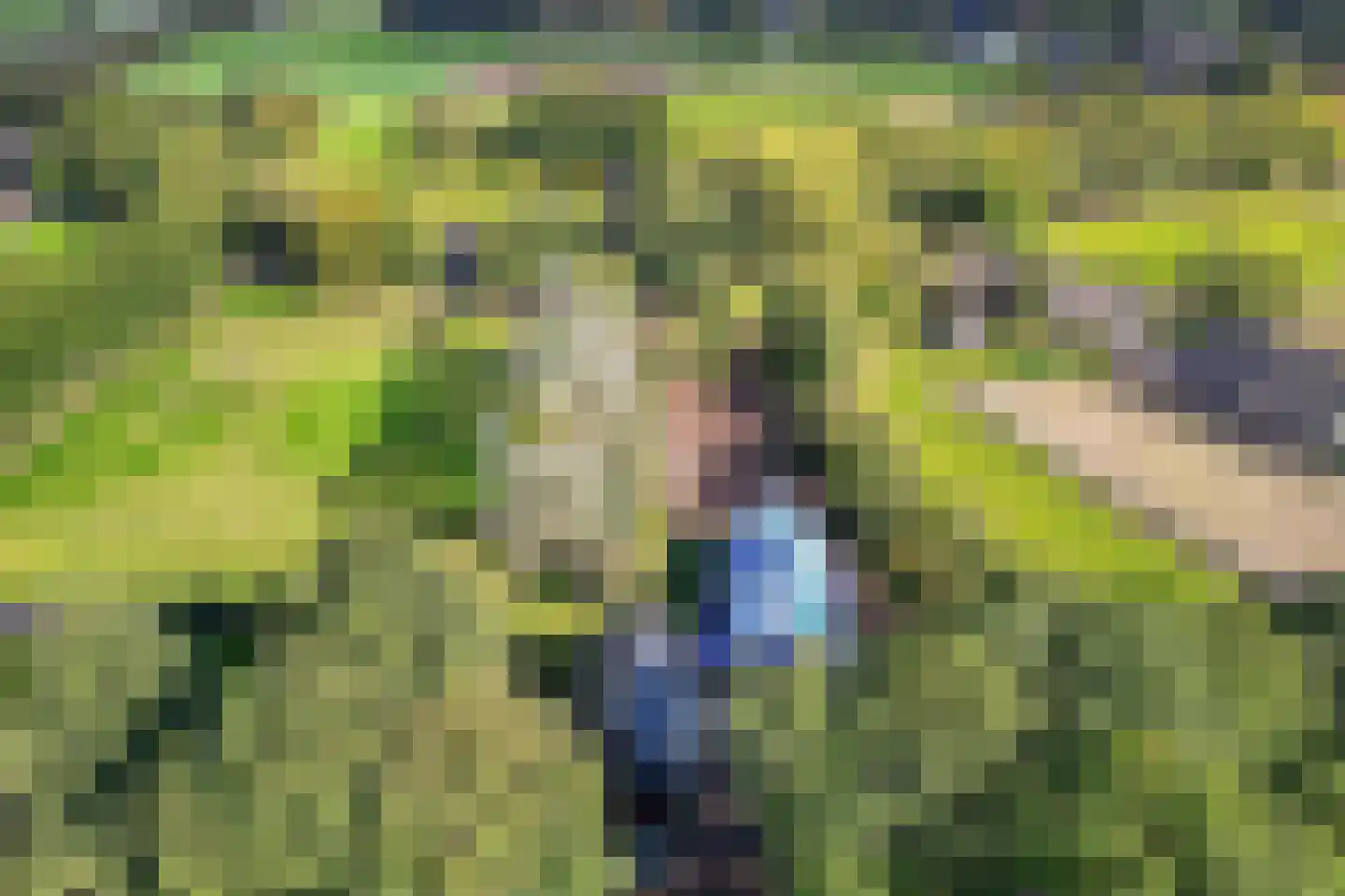 Westereind 3 Wachtum thumbnail 17