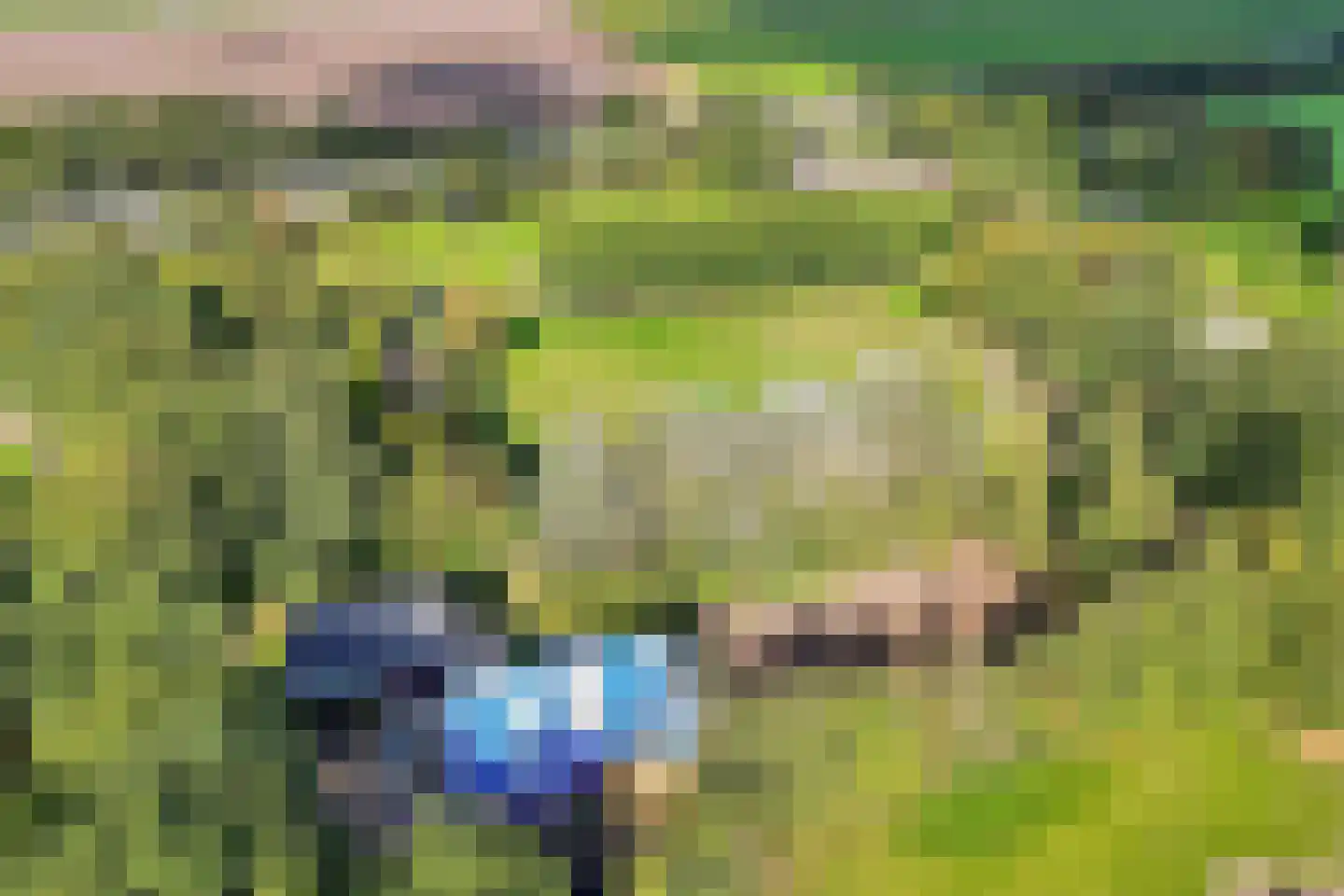 Westereind 3 Wachtum thumbnail 18