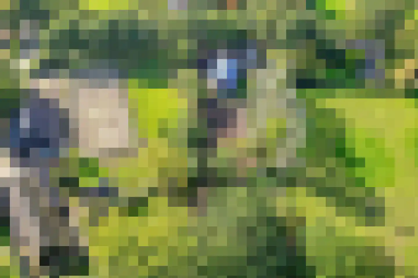 Westereind 3 Wachtum thumbnail 19