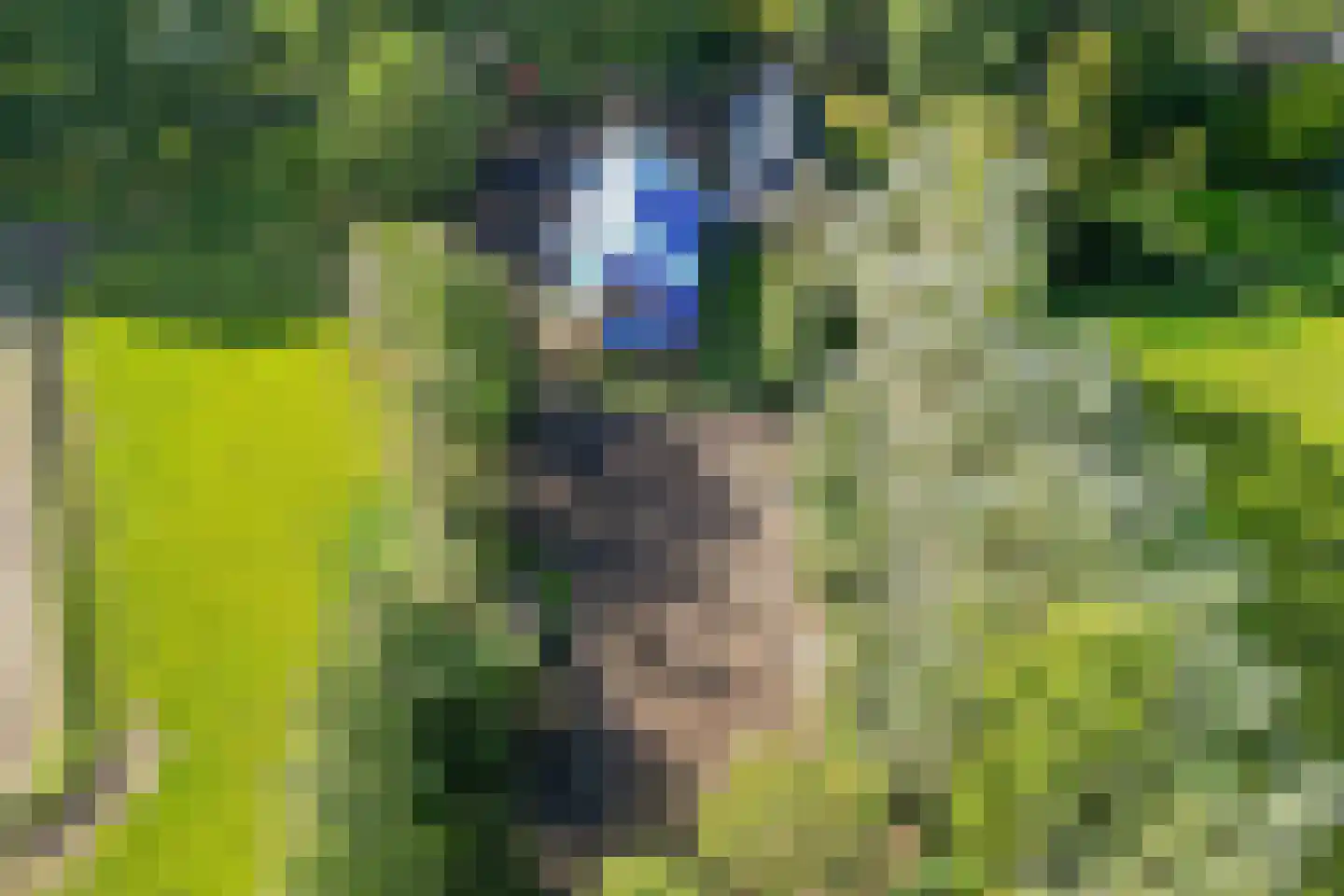 Westereind 3 Wachtum thumbnail 20