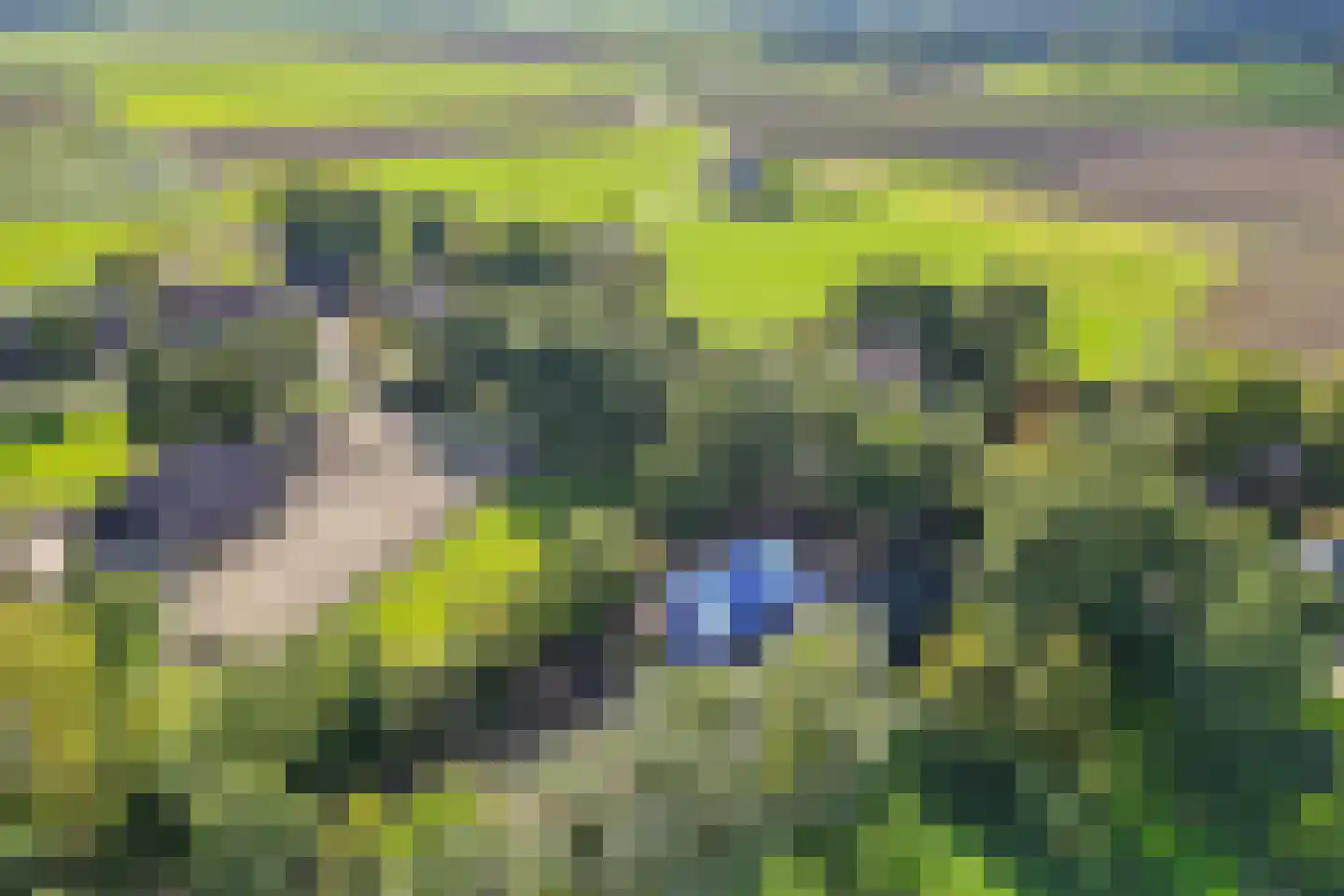 Westereind 3 Wachtum thumbnail 21