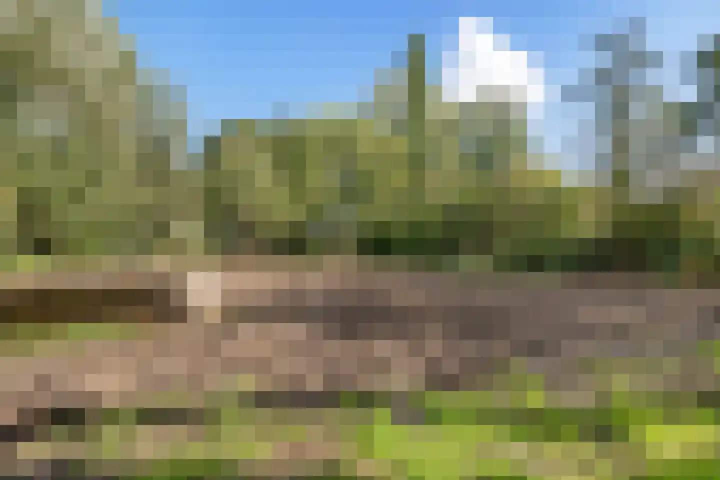 Westereind 3 Wachtum thumbnail 4