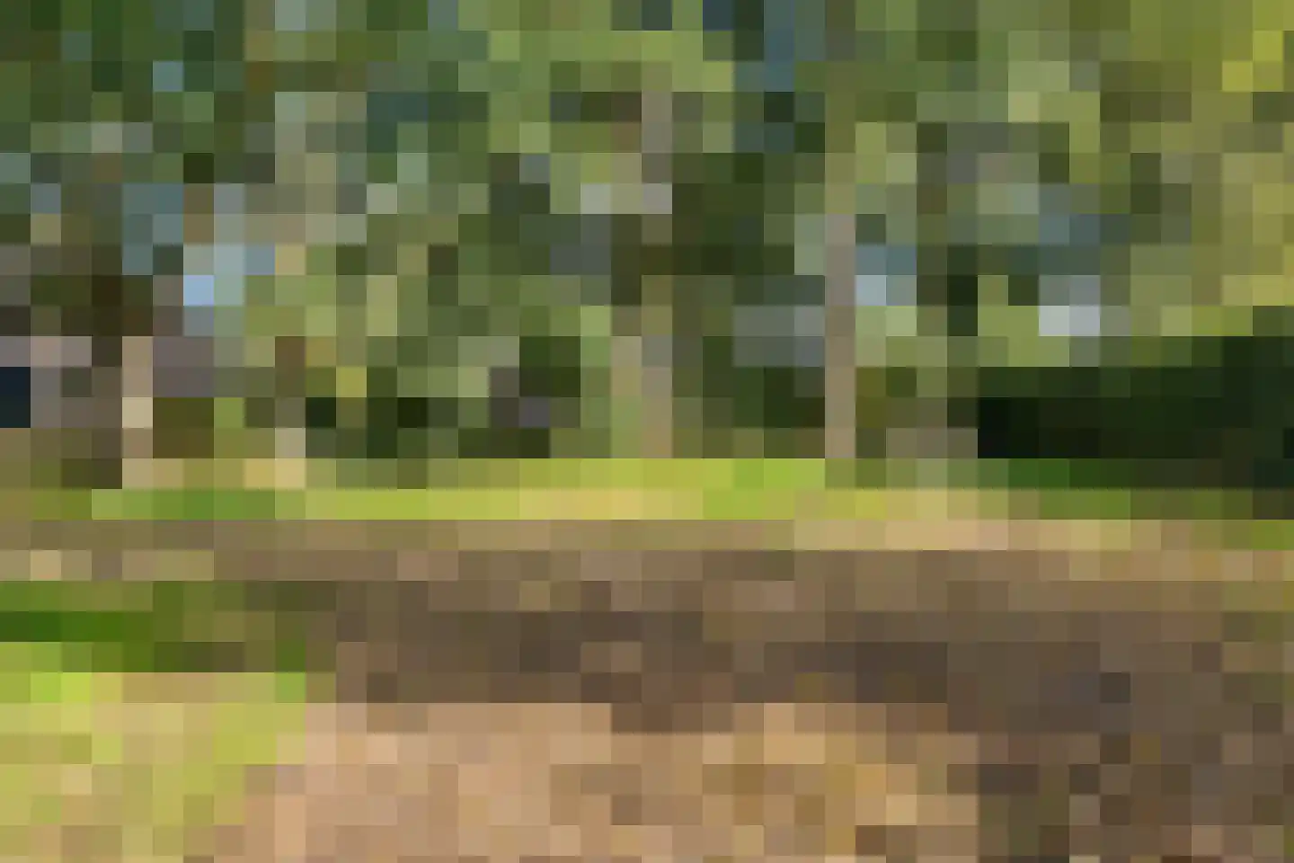 Westereind 3 Wachtum thumbnail 7