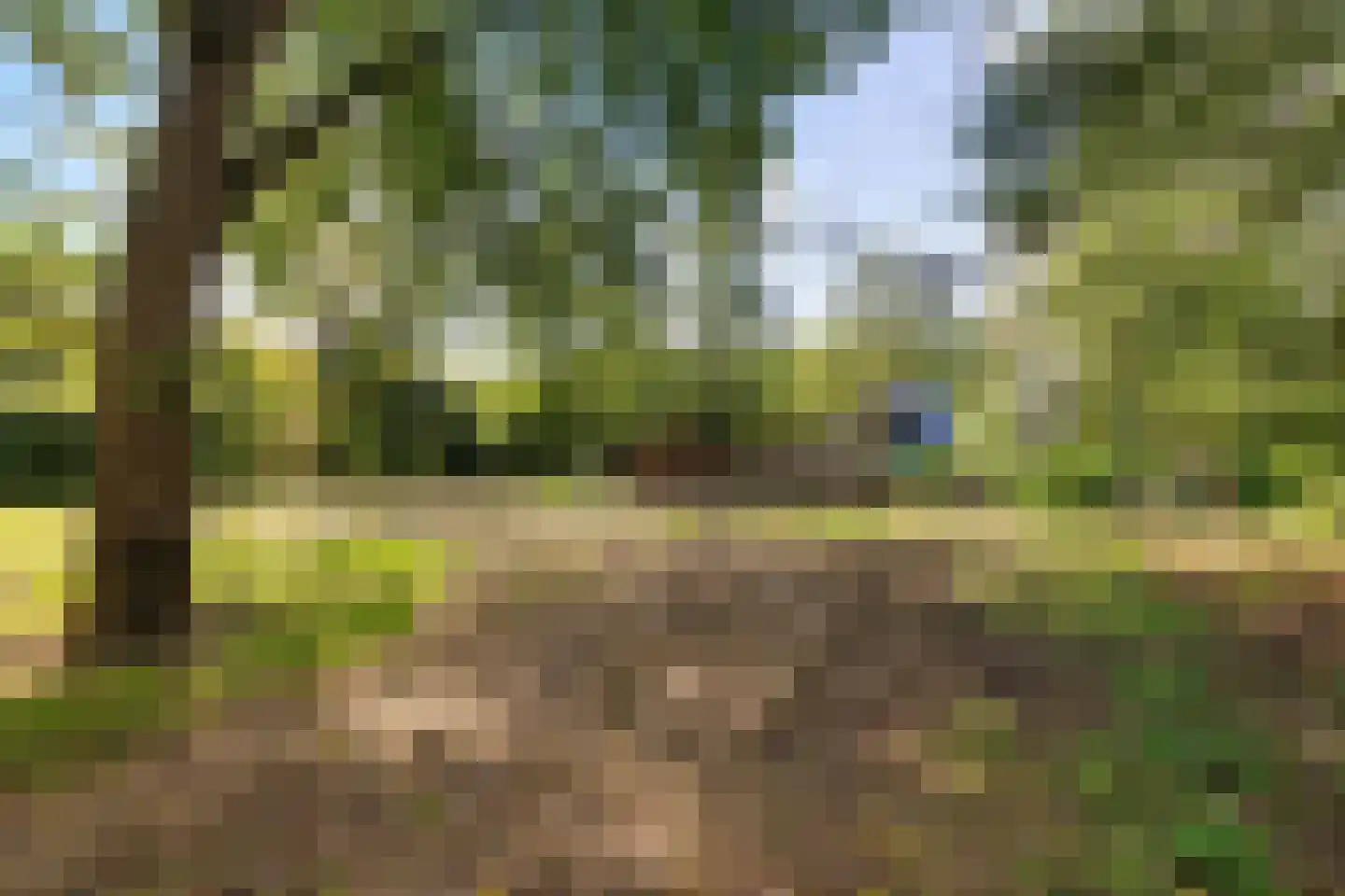 Westereind 3 Wachtum thumbnail 9
