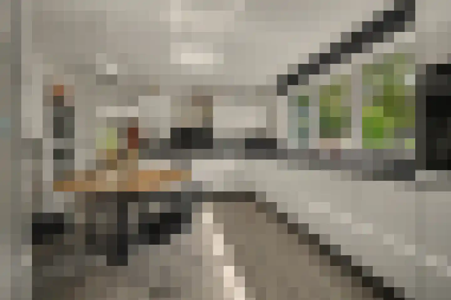 Westerenban 34 Burgh-Haamstede thumbnail 13