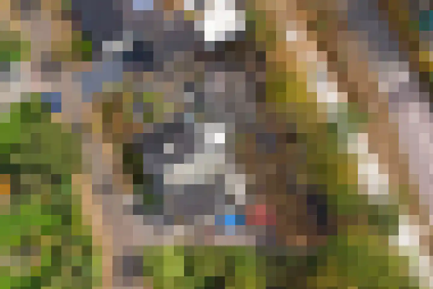 Westerenban 34 Burgh-Haamstede thumbnail 41