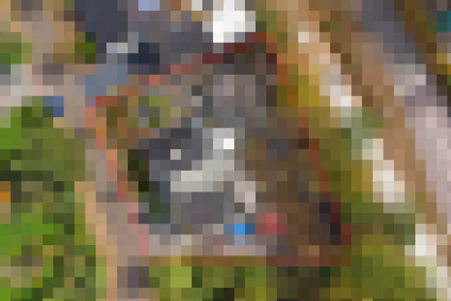 Westerenban 34 Burgh-Haamstede thumbnail 42