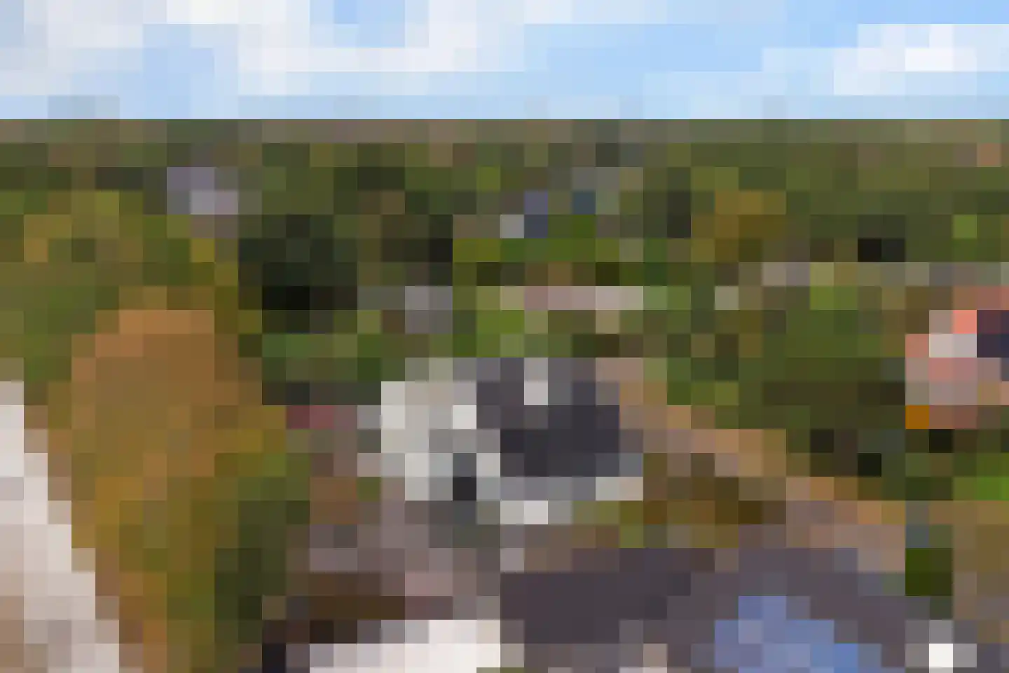 Westerenban 34 Burgh-Haamstede thumbnail 45