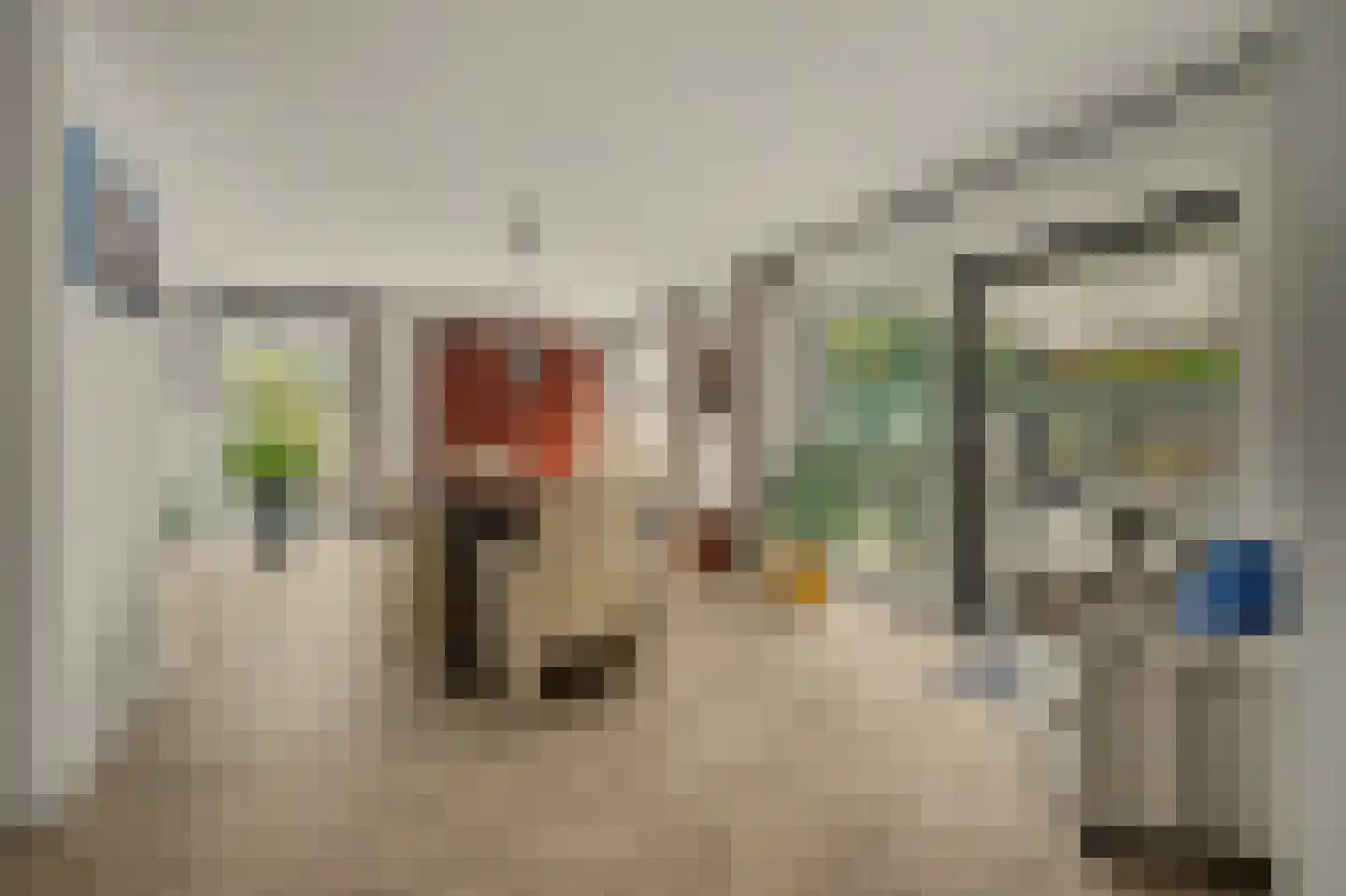 Westerenban 34 Burgh-Haamstede thumbnail 8