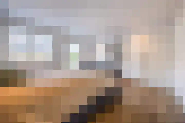 Westerenban 36 Burgh-Haamstede thumbnail 17