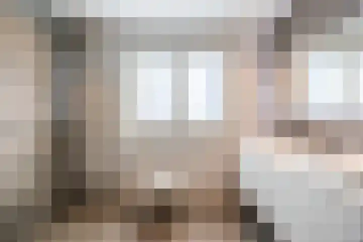 Westerenban 36 Burgh-Haamstede thumbnail 21