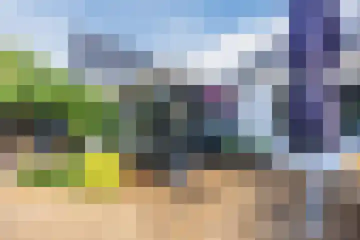 Westerenban 36 Burgh-Haamstede thumbnail 33