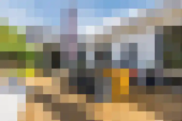 Westerenban 36 Burgh-Haamstede thumbnail 38