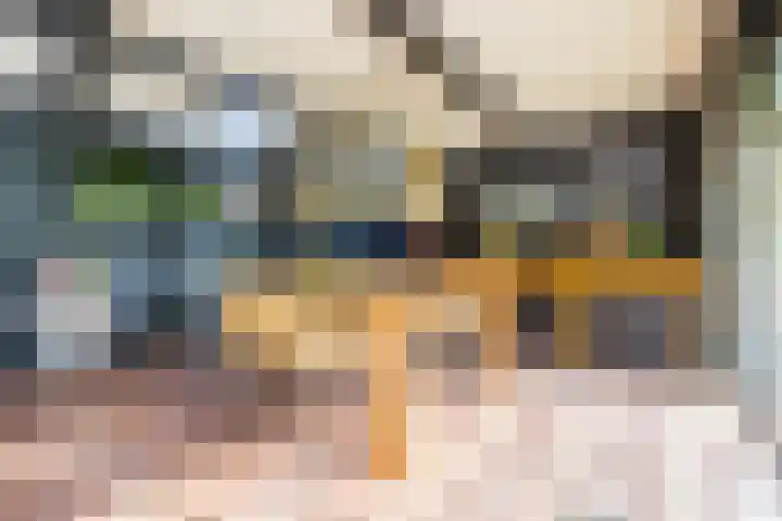 Westerenban 36 Burgh-Haamstede thumbnail 41