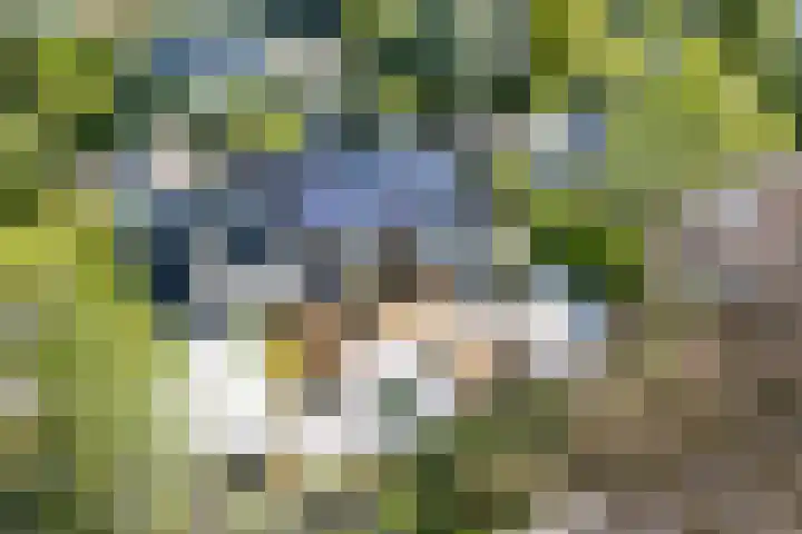 Westerenban 36 Burgh-Haamstede thumbnail 43