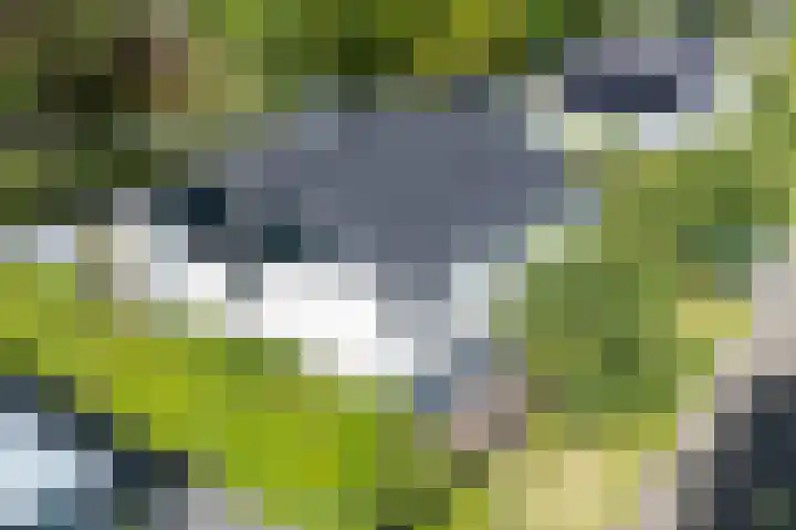 Westerenban 36 Burgh-Haamstede thumbnail 44