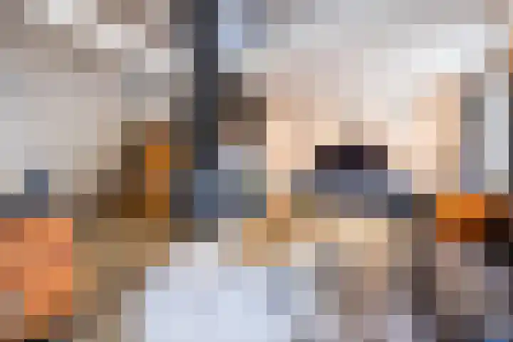 Westerenban 36 Burgh-Haamstede thumbnail 9