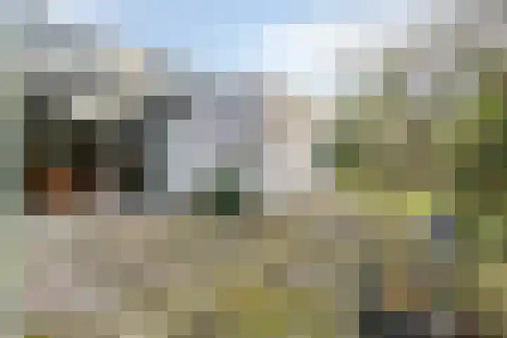 Westerenban 54 Burgh-Haamstede thumbnail 31