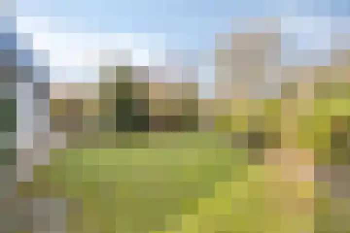 Westerenban 54 Burgh-Haamstede thumbnail 32
