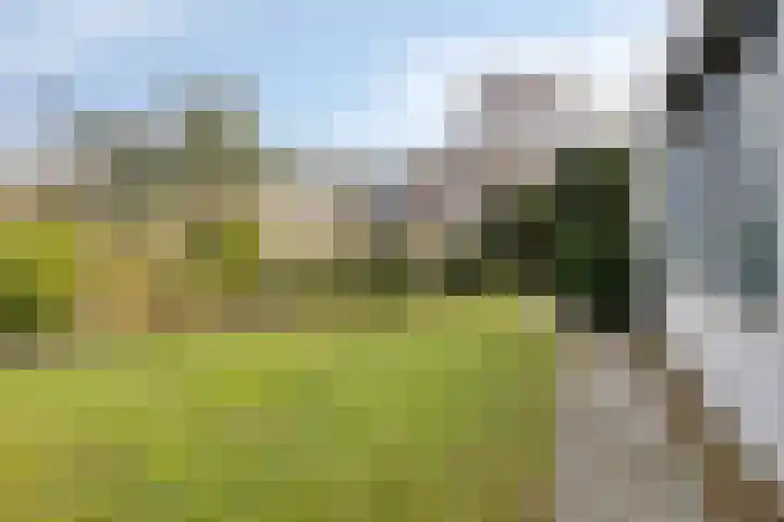 Westerenban 54 Burgh-Haamstede thumbnail 33