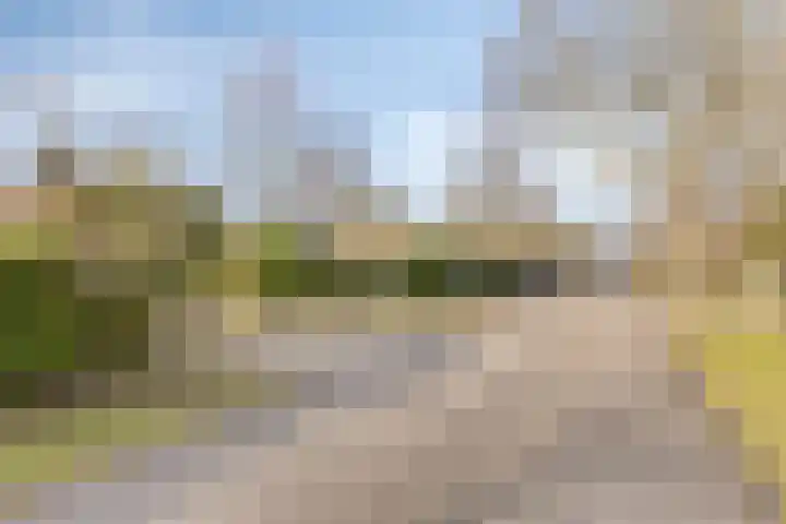 Westerenban 54 Burgh-Haamstede thumbnail 36