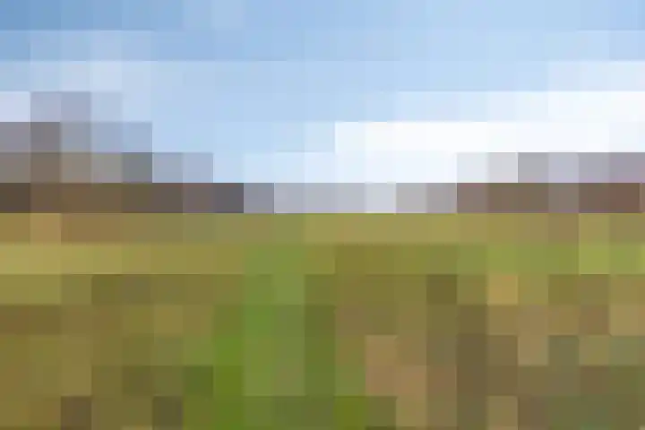 Westerenban 54 Burgh-Haamstede thumbnail 37