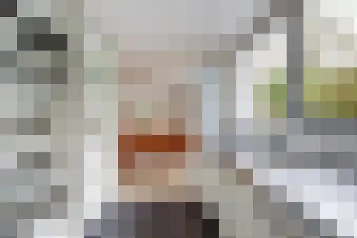 Westerenban 8 Burgh-Haamstede thumbnail 11