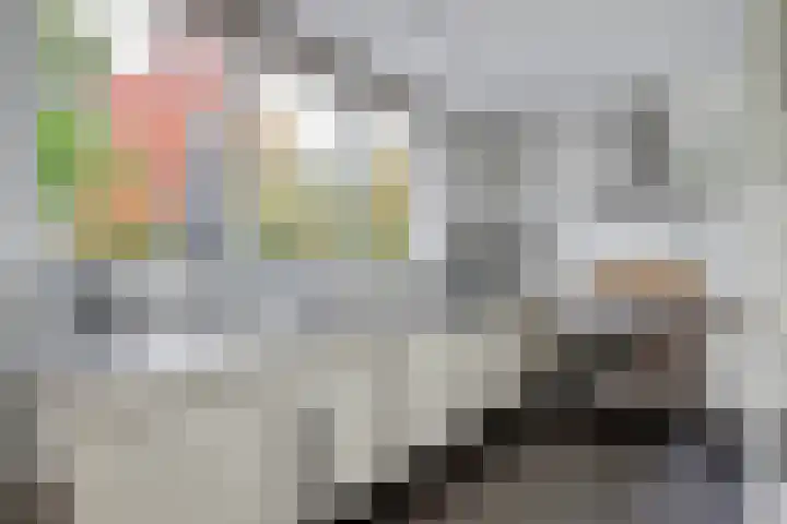 Westerenban 8 Burgh-Haamstede thumbnail 13