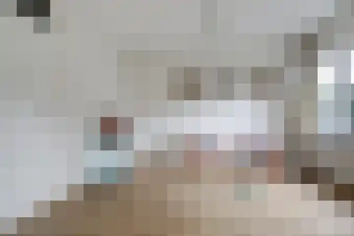 Westerenban 8 Burgh-Haamstede thumbnail 16