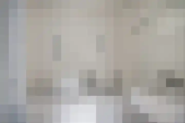 Westerenban 8 Burgh-Haamstede thumbnail 17