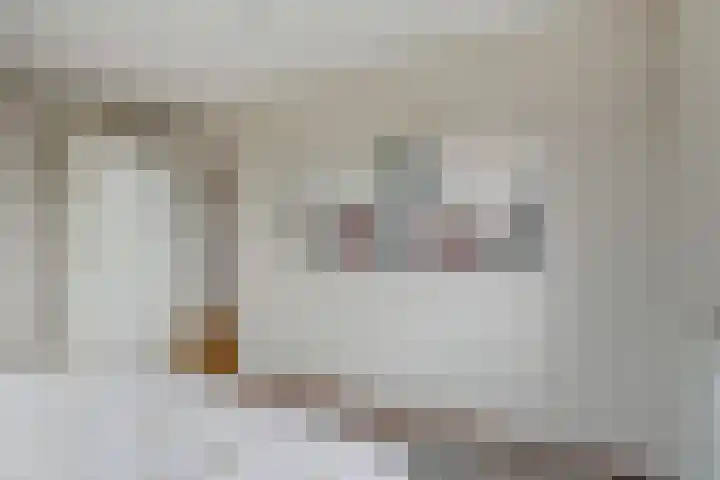 Westerenban 8 Burgh-Haamstede thumbnail 22