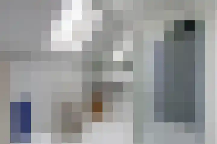 Westerenban 8 Burgh-Haamstede thumbnail 29