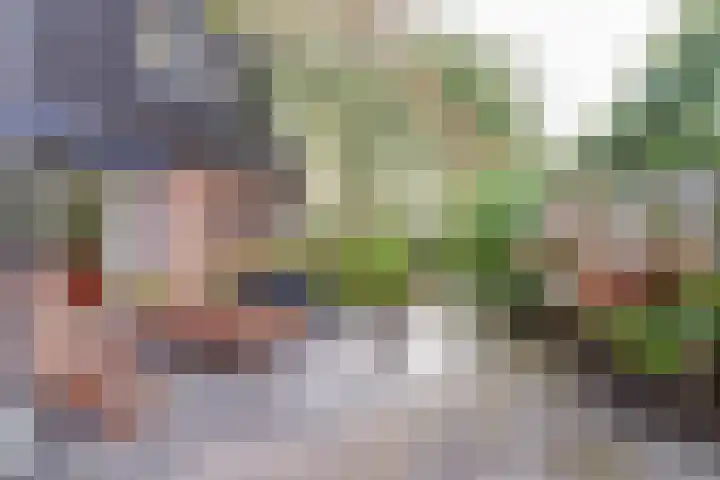 Westerenban 8 Burgh-Haamstede thumbnail 30