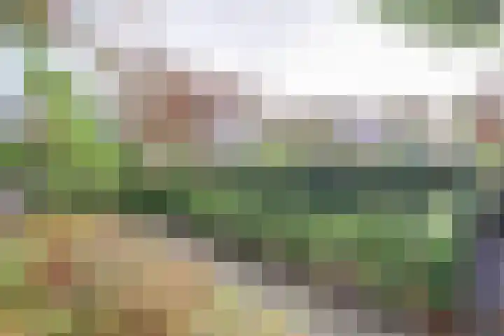 Westerenban 8 Burgh-Haamstede thumbnail 31